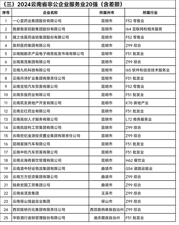 《2024云南省非公企業服務業20強》完整榜單