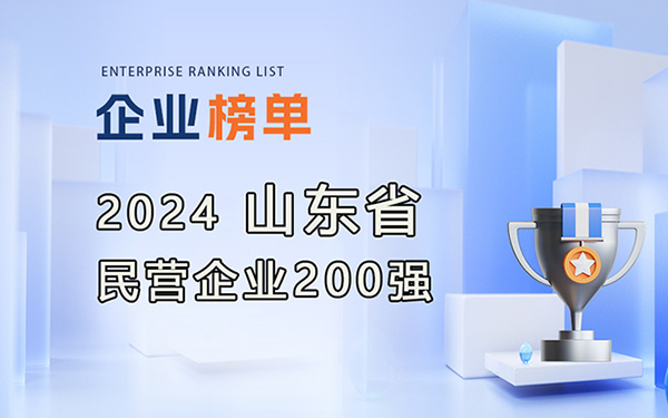 2024年山東省民營企業200強榜單